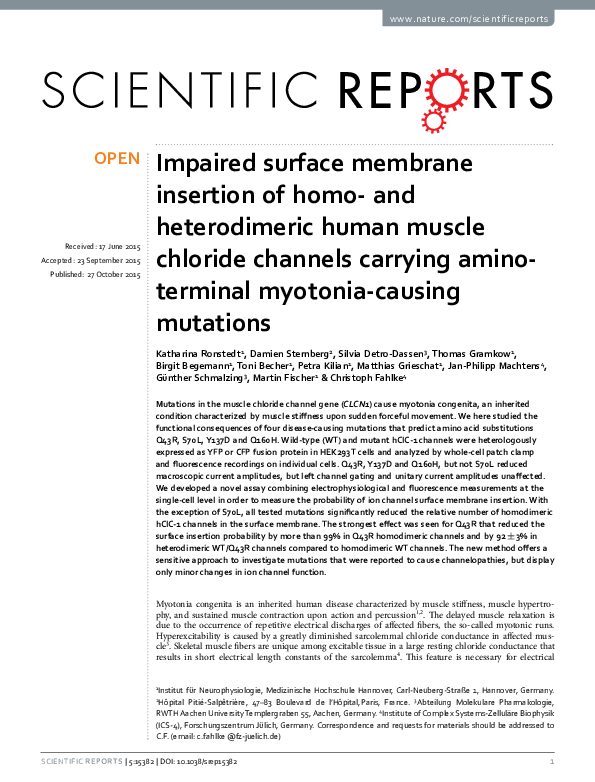 (PDF) Impaired surface membrane insertion of homo- and heterodimeric ...