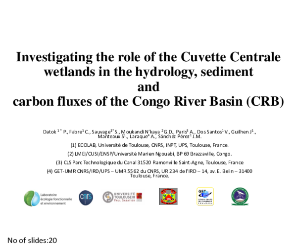 (PDF) Investigating the role of the Cuvette Centrale wetlands in the
