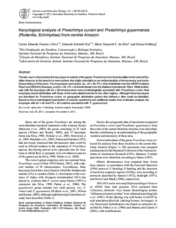 (PDF) Karyological analysis of Proechimys cuvieri and Proechimys ...