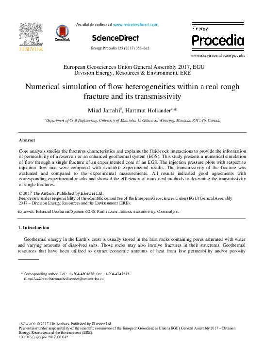 (PDF) Numerical simulation of flow heterogeneities within a real rough ...