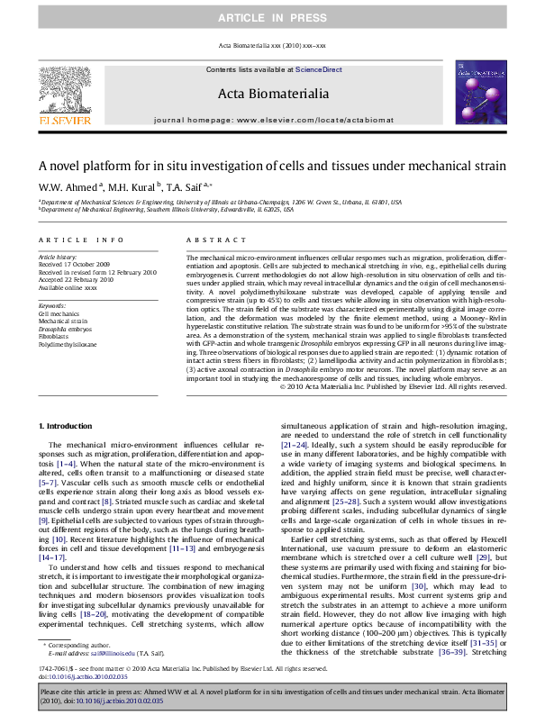 (PDF) A novel platform for in situ investigation of cells and tissues ...