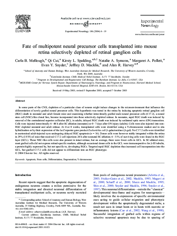 (PDF) Fate of multipotent neural precursor cells transplanted into