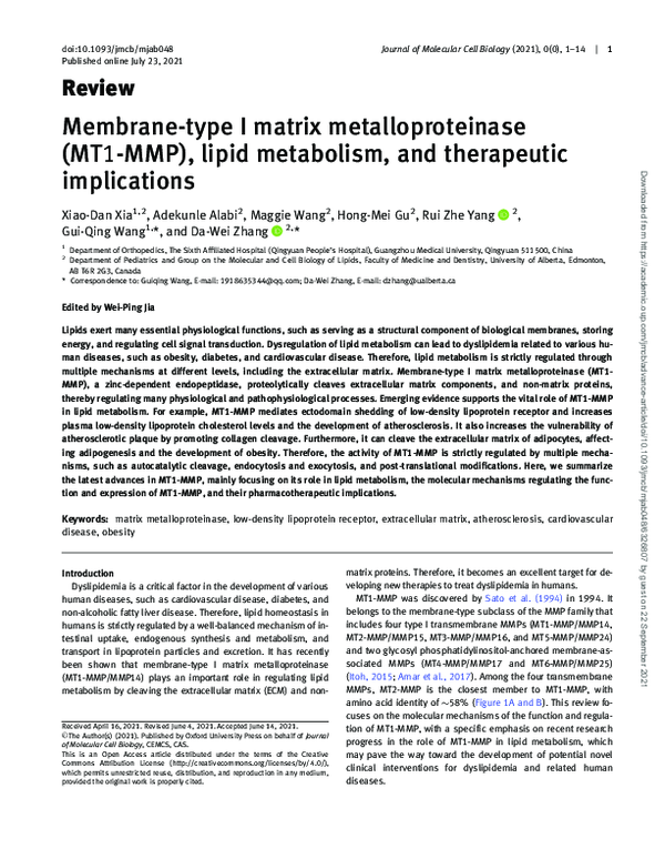 (PDF) Membrane-type I matrix metalloproteinase (MT1-MMP), lipid ...