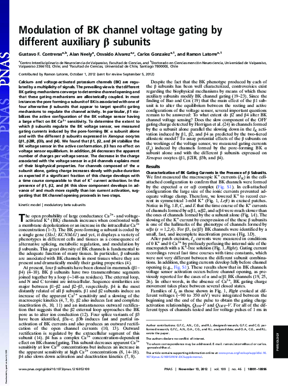 (PDF) Modulation of BK channel voltage gating by different auxiliary β ...