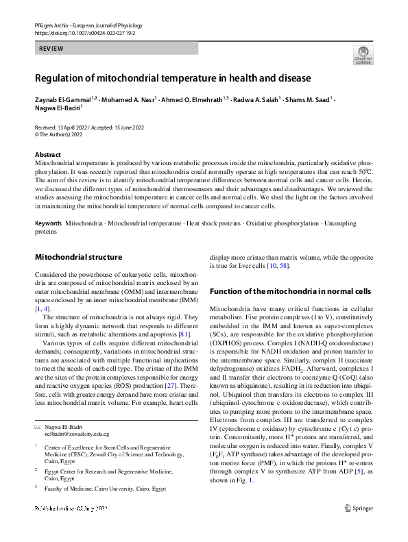 (PDF) Regulation of mitochondrial temperature in health and disease