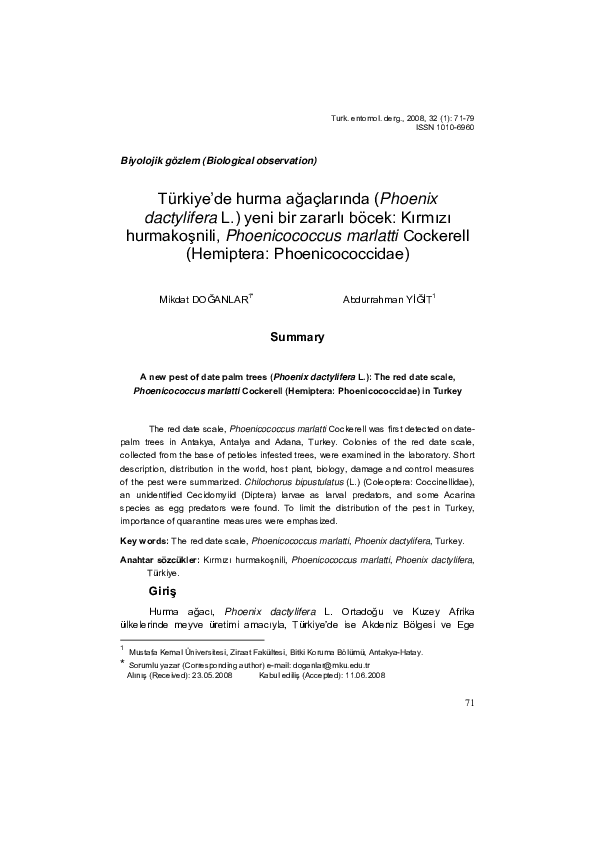 (PDF) A new pest of date palm trees (Phoenix dactylifera L.): The red ...