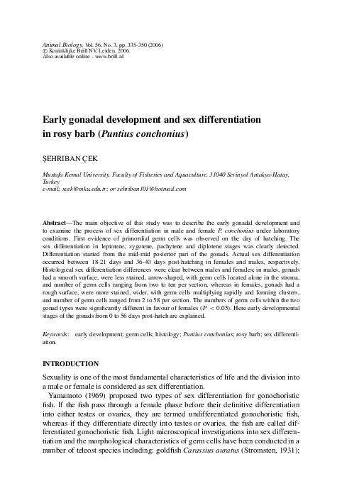 (PDF) Early gonadal development and sex differentiation in rosy barb ...