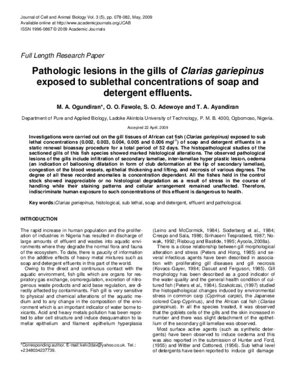 (PDF) Pathologic Lesions in the Gills of Clarias Gariepinus Exposed to ...