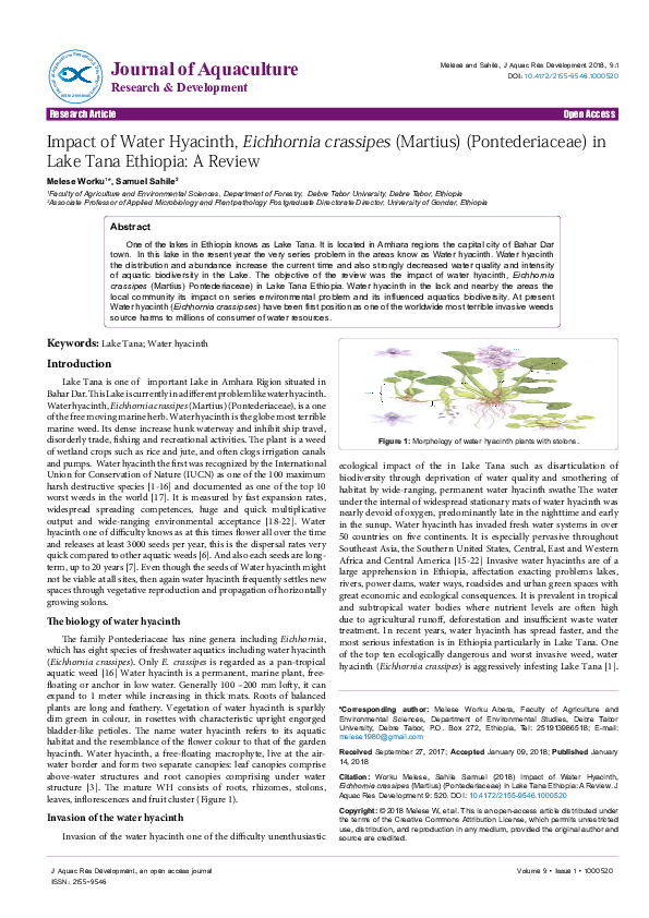 (PDF) The impact of water hyacinth (Eichhornia crassipes) in a ...