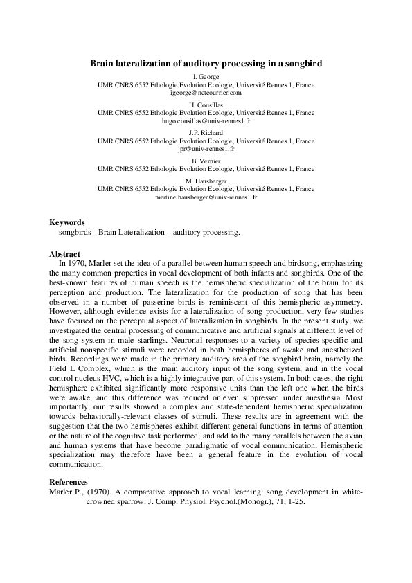 (PDF) Brain lateralization of auditory processing in a songbird
