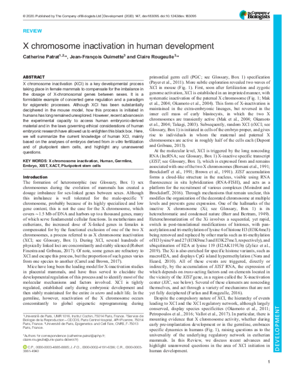 (PDF) X chromosome inactivation in human development