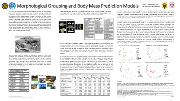 (PDF) Morphological Grouping and Body Mass Prediction Models