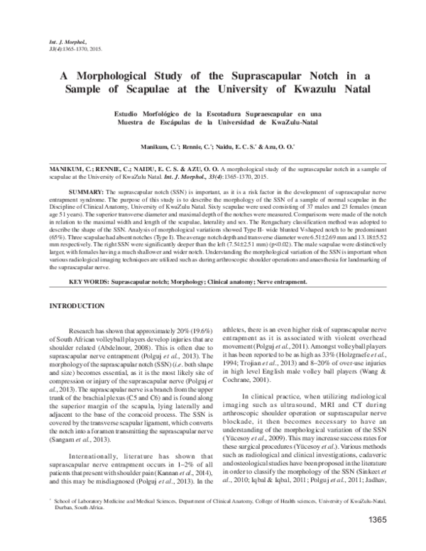 (PDF) A Morphological Study of the Suprascapular Notch in a Sample of ...