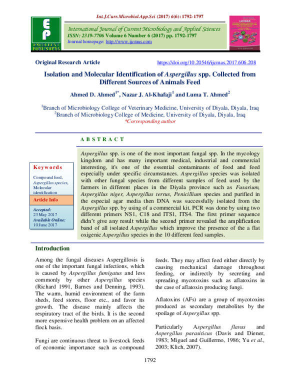 (PDF) Isolation and Molecular Identification of Aspergillus spp ...