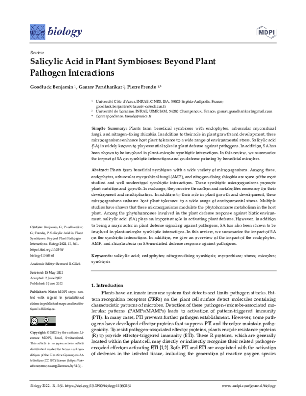 (PDF) Salicylic Acid in Plant Symbioses: Beyond Plant Pathogen Interactions