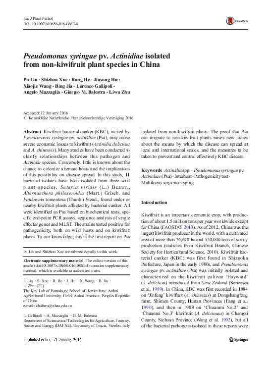 (PDF) Pseudomonas syringae pv. Actinidiae isolated from non-kiwifruit ...