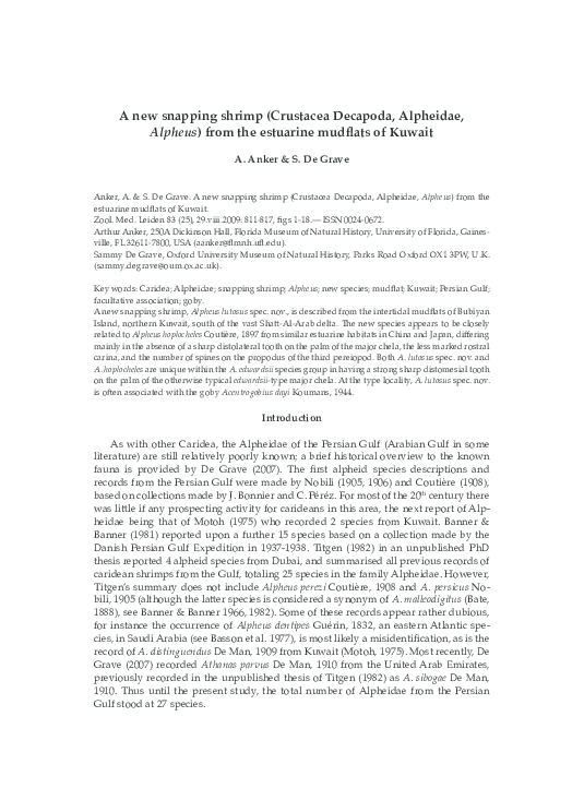 Decapoda family image