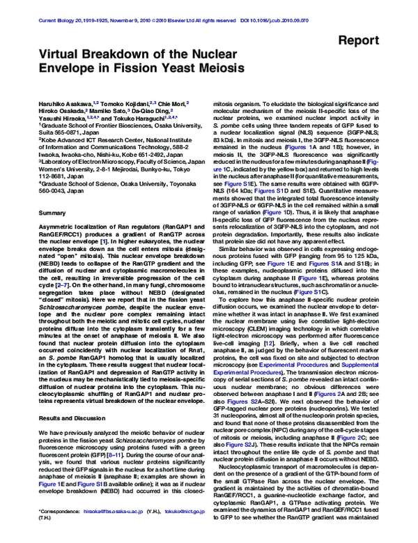 (PDF) Virtual Breakdown of the Nuclear Envelope in Fission Yeast Meiosis