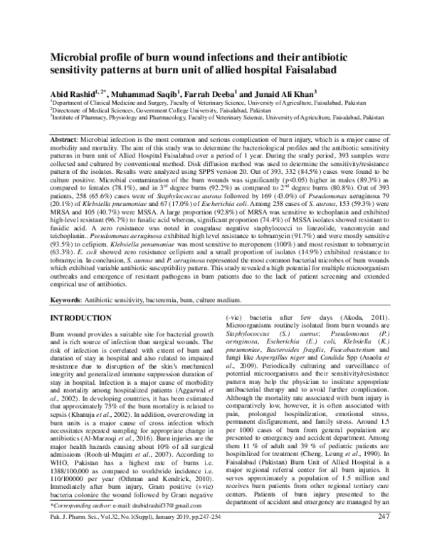 (PDF) Microbial profile of burn wound infections and their antibiotic ...