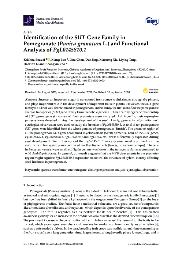 (PDF) Identification of the SUT Gene Family in Pomegranate (Punica ...