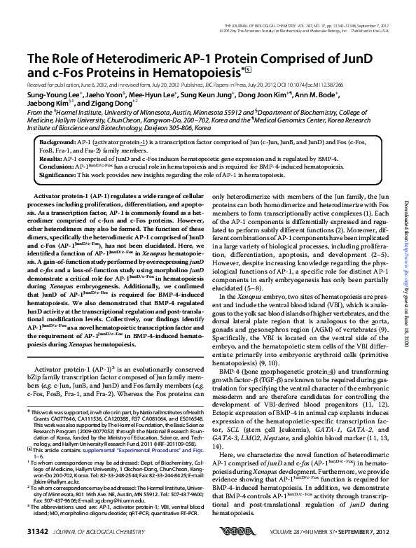 (PDF) The Role of Heterodimeric AP-1 Protein Comprised of JunD and c ...
