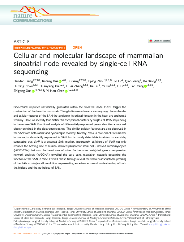 (PDF) Cellular and molecular landscape of mammalian sinoatrial node ...