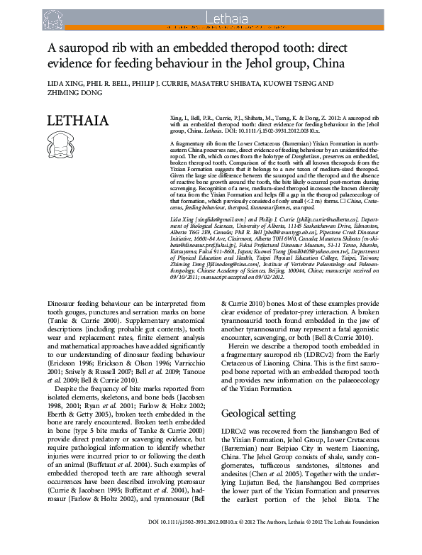 (PDF) A sauropod rib with an embedded theropod tooth: direct evidence ...