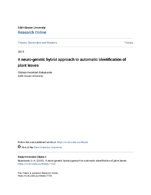 PDF) A neuro-genetic hybrid approach to automatic identification