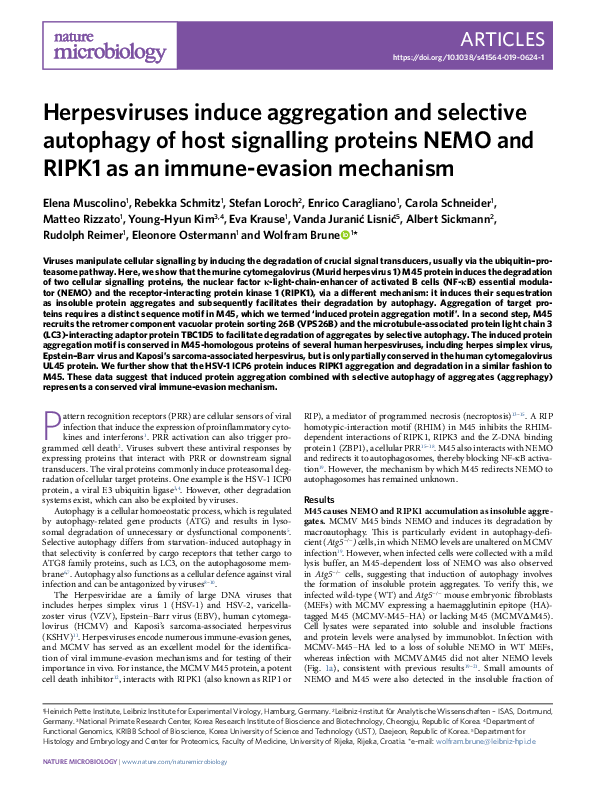 (PDF) Herpesviruses induce aggregation and selective autophagy of host ...