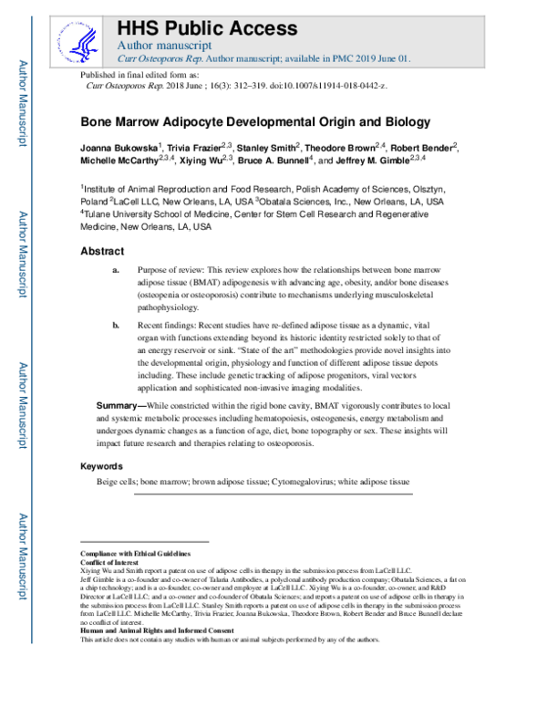 (PDF) Bone Marrow Adipocyte Developmental Origin and Biology