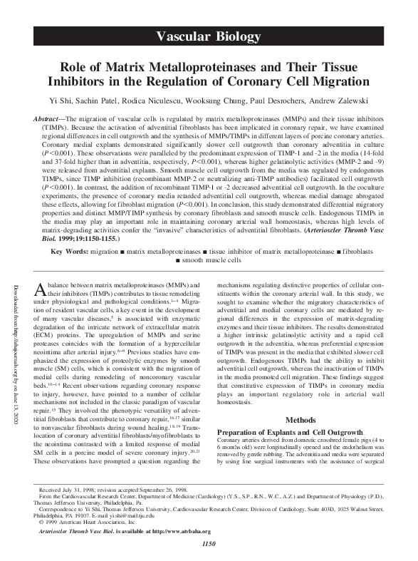 (PDF) Role of Matrix Metalloproteinases and Their Tissue Inhibitors in ...