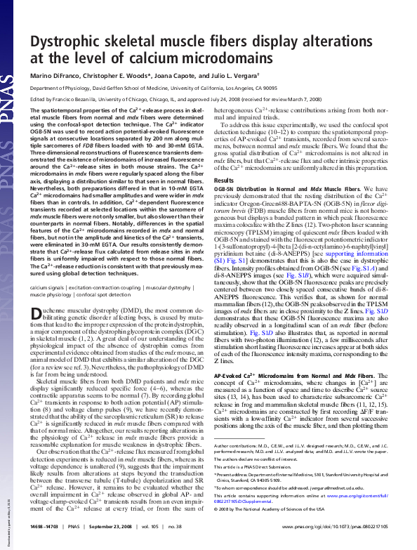 (PDF) Dystrophic skeletal muscle fibers display alterations at the ...