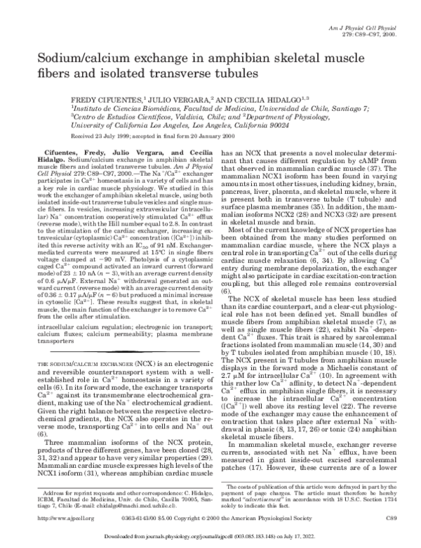 (PDF) Sodium/calcium exchange in amphibian skeletal muscle fibers and ...