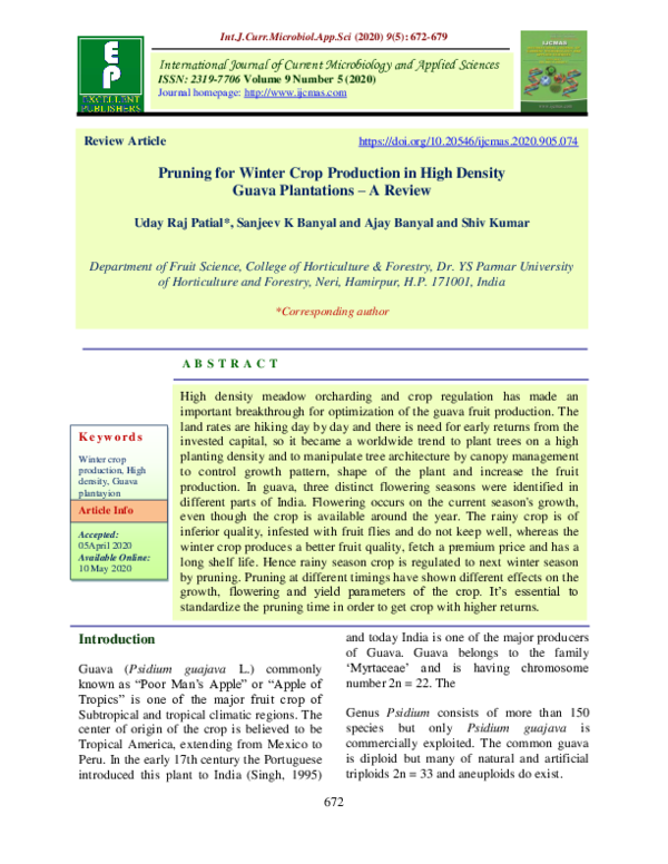 (PDF) Pruning for Winter Crop Production in High Density Guava ...