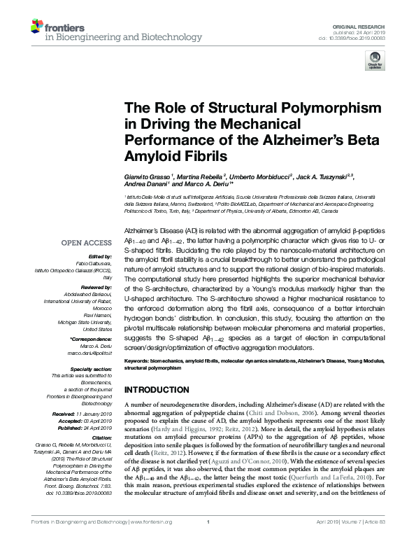 (PDF) The Role of Structural Polymorphism in Driving the Mechanical ...