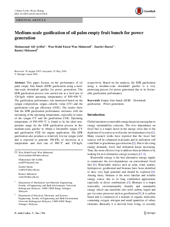 (PDF) Medium-scale gasification of oil palm empty fruit bunch for power ...