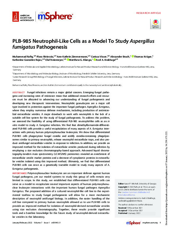 (PDF) PLB-985 Neutrophil-Like Cells as a Model To Study Aspergillus ...