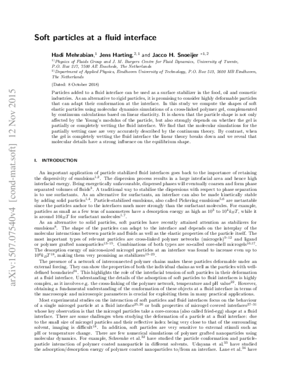 (PDF) Soft particles at a fluid interface
