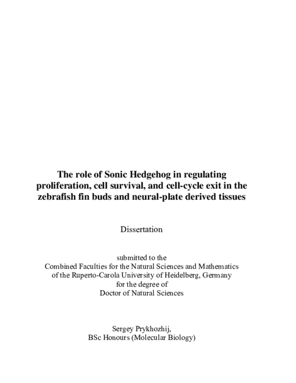 (PDF) The role of Sonic Hedgehog in regulatingproliferation, cell ...