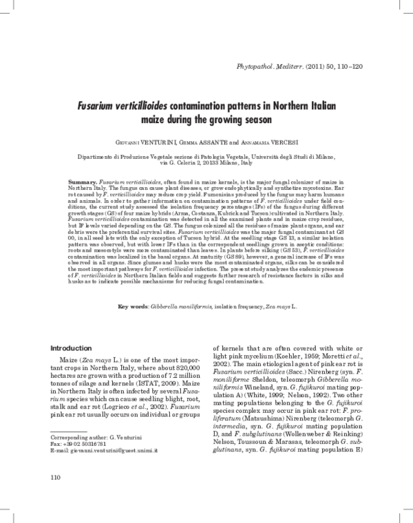 (PDF) Fusarium verticillioides contamination patterns in Northern ...