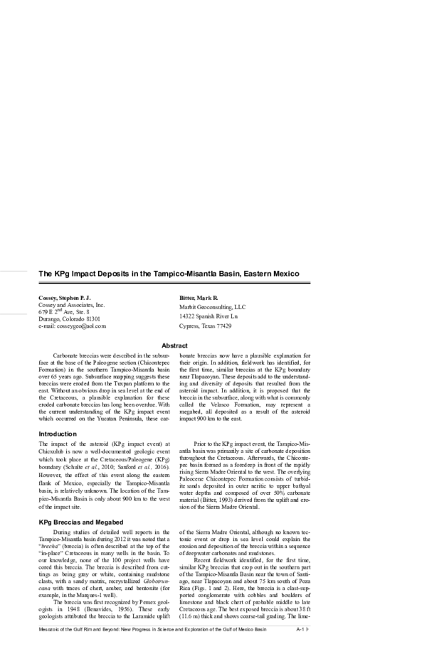 (PDF) The KPg Impact Deposits in the Tampico–Misantla Basin, Eastern Mexico