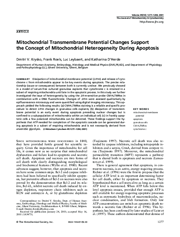 (PDF) Mitochondrial Transmembrane Potential Changes Support the Concept ...