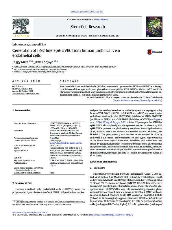 (PDF) Generation of iPSC line epiHUVEC from human umbilical vein ...