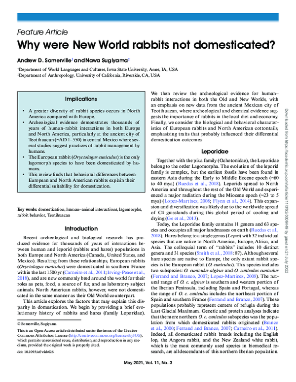 (PDF) Why were New World rabbits not domesticated?