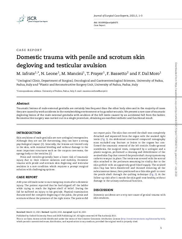 (PDF) Domestic trauma with penile and scrotum skin degloving and ...
