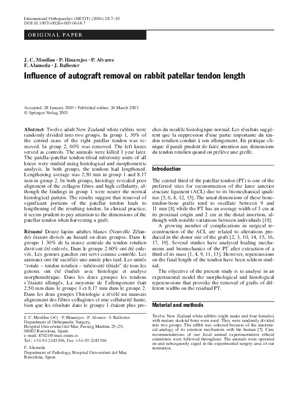 (PDF) Influence of autograft removal on rabbit patellar tendon length