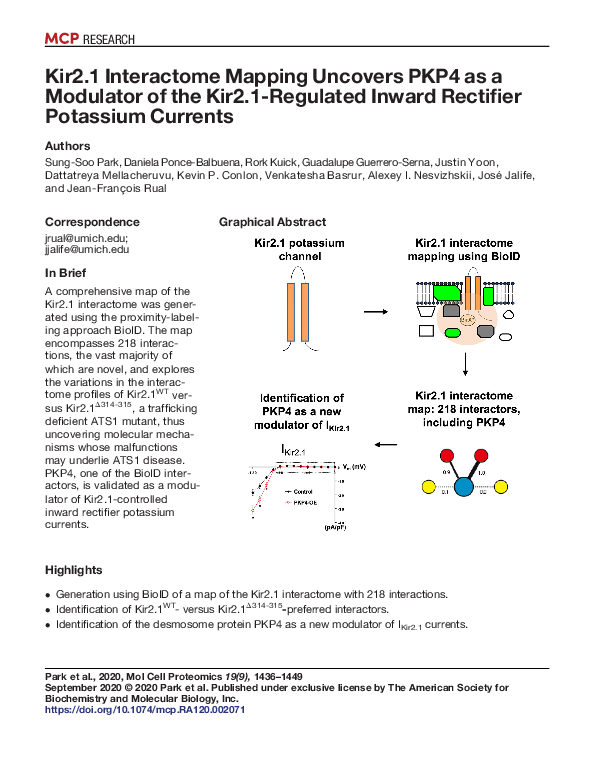(PDF) Kir2.1 Interactome Mapping Uncovers PKP4 as a Modulator of the ...