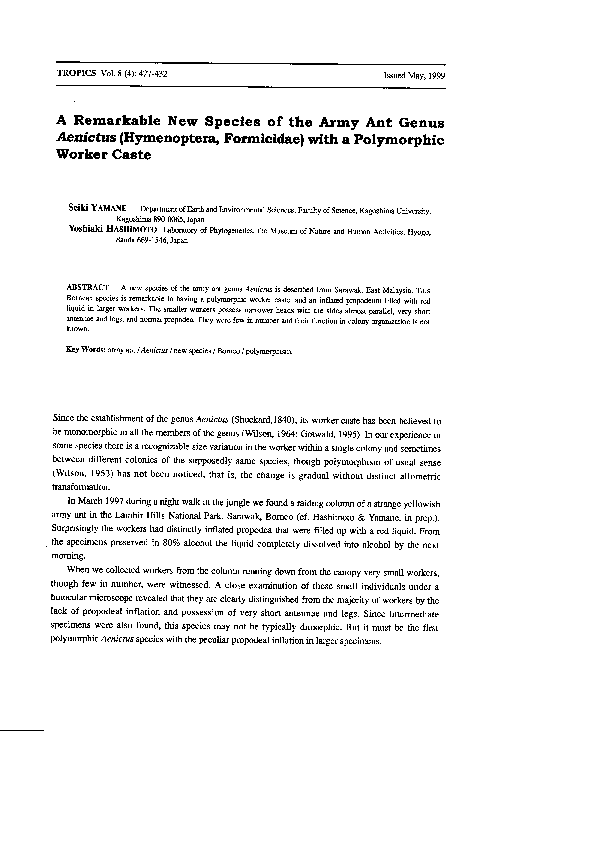 (PDF) A Remarkable New Species of the Army Ant Genus Aenictus ...