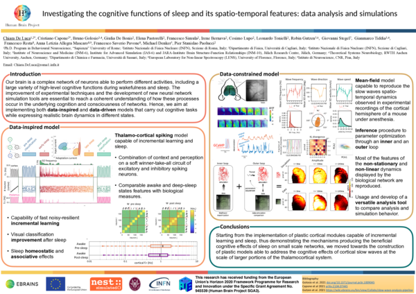 (PDF) Investigating the cognitive functions of sleep and its spatio ...
