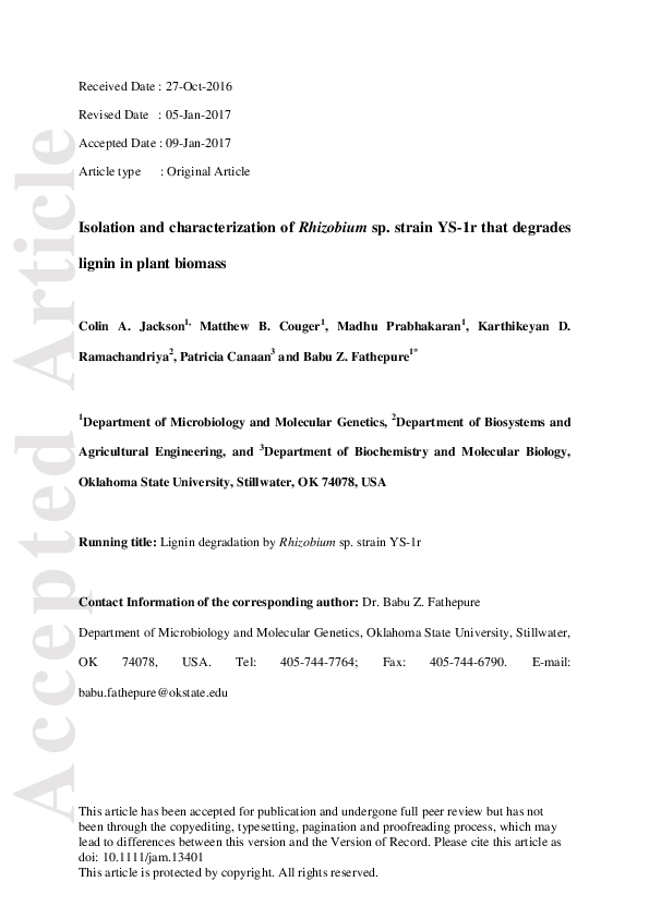 (PDF) Isolation and characterization of Rhizobium sp. strain YS-1r that ...